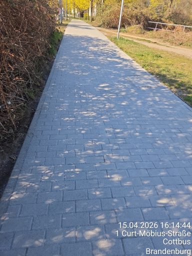 Gereinigte Pflasterfläche nach der Steinreinigung