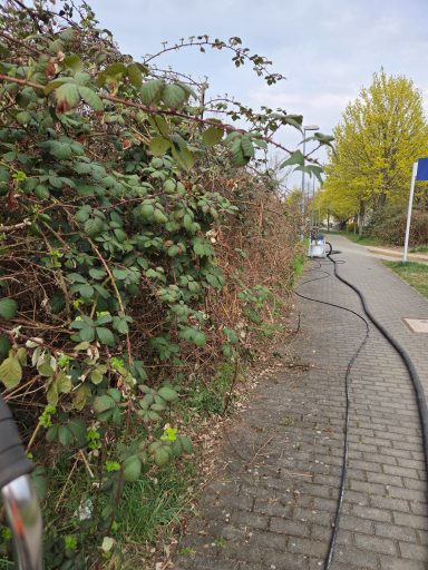 Verschmutzte Pflasterfläche vor der Steinreinigung